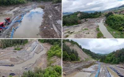 SALROM dă vina pe castori la Praid, ministrul acuză: „Neasumare!”