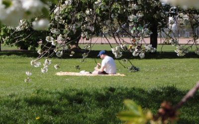 Meteorologii anunță vremea de 1 Mai: Cum va fi în următoarele săptămâni?