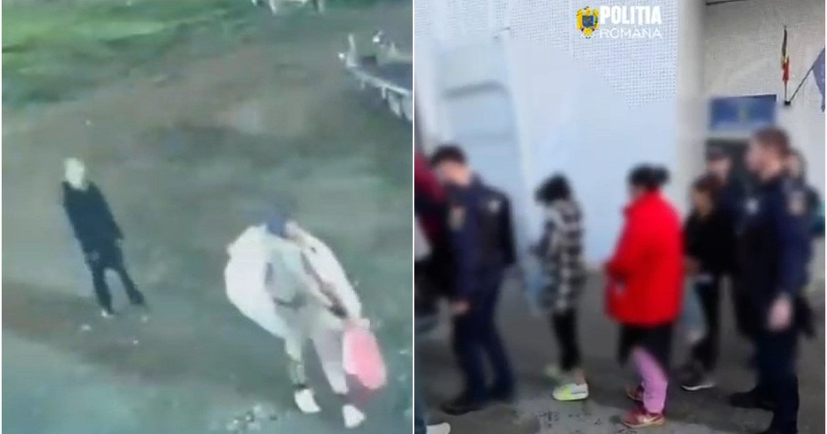 Bujori de 20.000 de euro, furați dintr-o seră din București. Hoții, prinși în flagrant