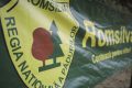 Romsilva, la judecată: Sindicatul contestă reorganizarea regiei pădurilor