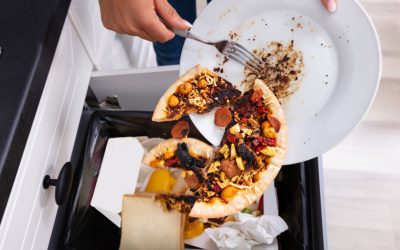 România, campioană la risipă: 3,4 milioane de tone de mâncare ajung la gunoi! Impact devastator