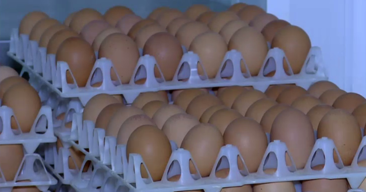 Ouă cu Salmonella pe piață: 1,5 milioane retrase înainte de Sărbători