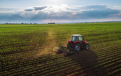 Adeverințe APIA, condiționate de impozite în Buzău. Primăria, acuzată de abuz