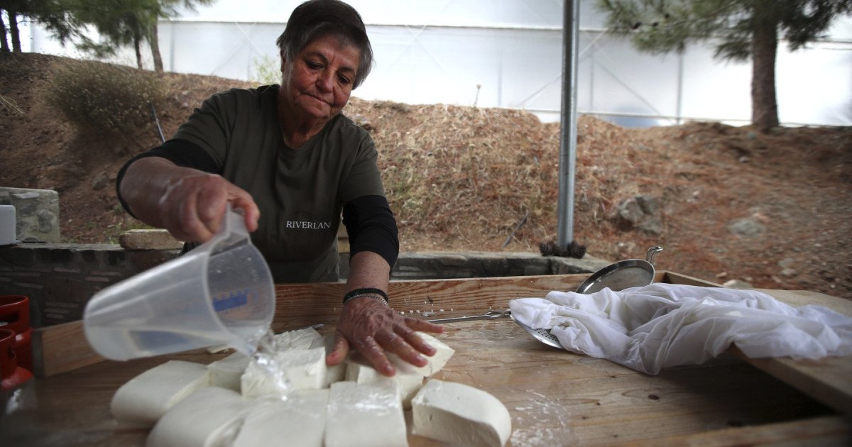 Brânza Halloumi, în criză: Fermierii ciprioți, loviți de boală. Turcii, cheia salvării?