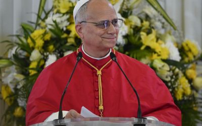 Papa Leon, apel la pace în Camerun: „Respingeți abuzul și violența”