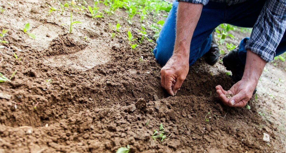 Agricultorii europeni, în fața unei crize acute: Bruxelles-ul cheamă la discuții BRUXELLES – Reprezentanții sectorului agricol european se pregătesc pentru o întâlnire crucială la Bruxelles, pe data de 13 aprilie, unde vor discuta cu Comisia Europeană despre criza tot mai profundă generată de scumpirea explozivă a îngrășămintelor