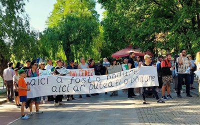 Cinci cartiere din București dezvăluie secretele unui grup civic de succes