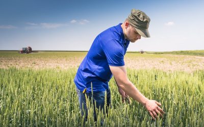 Criză uriașă în agricultura: Fermierii cer ajutor URGENT la Bruxelles