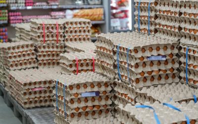 Alertă la Vaslui: 1,5 milioane de ouă cu Salmonella, înainte de Paște!