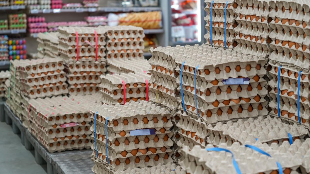 Alertă la Vaslui: 1,5 milioane de ouă cu Salmonella, înainte de Paște!