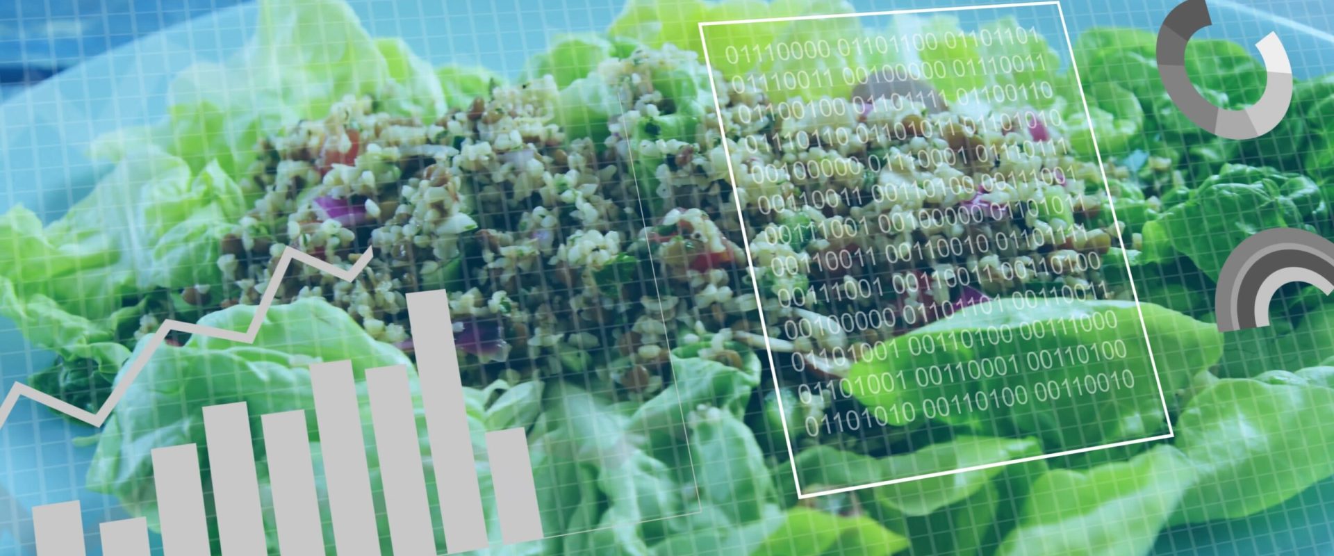 Cum ne schimbăm dieta cu vârsta: Ghid practic pentru o viață sănătoasă