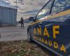 Amenzi de 20.000 EUR în Ilfov: ANAF, Vamă și ANSVSA, pe urmele firmelor