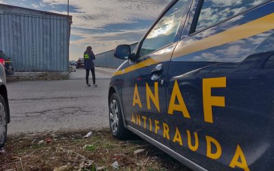 Amenzi de 20.000 EUR în Ilfov: ANAF, Vamă și ANSVSA, pe urmele firmelor