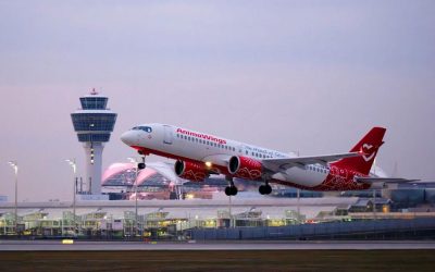 AnimaWings lansează zboruri către Atena din două orașe din România