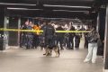 Atac cu macetă la metroul din New York: Suspect împușcat, 3 răniți