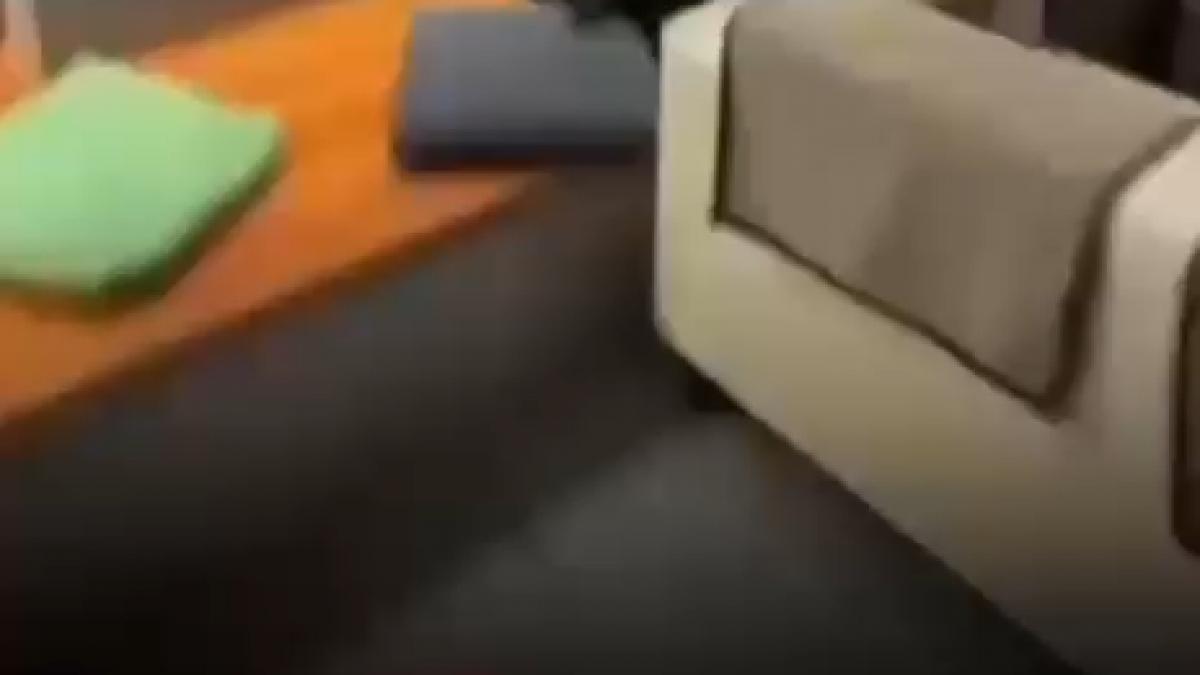 Scandal la AUR: Un membru s-a certat cu Dan Tănasă după ședință