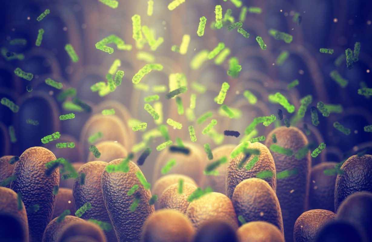 Bacterie „ucigașă” de tumori: O inovație uluitoare a cercetătorilor