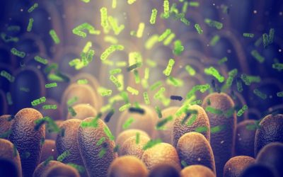 Bacterie „ucigașă” de tumori: O inovație uluitoare a cercetătorilor