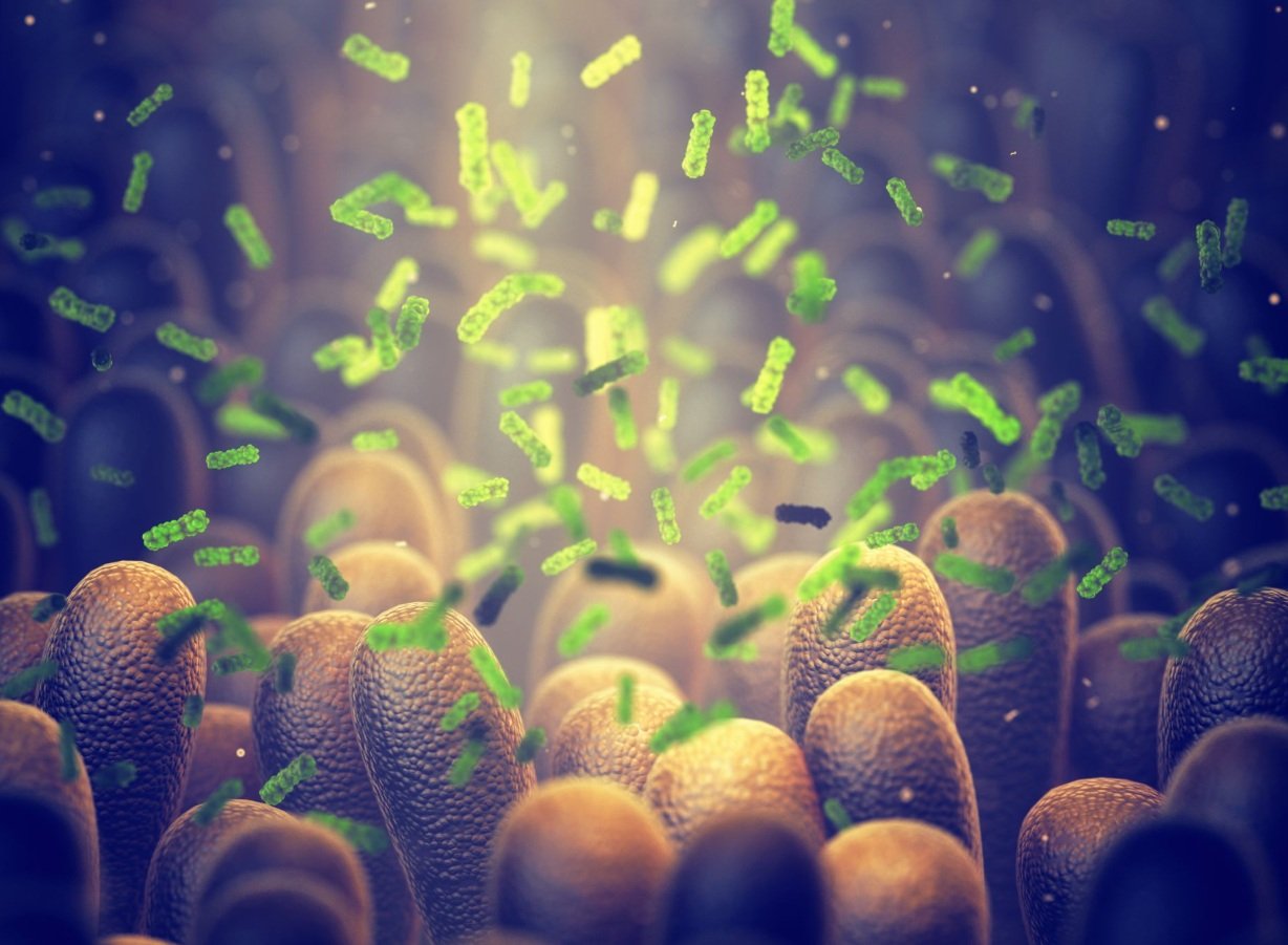 Bacterie „ucigașă” de tumori: O inovație uluitoare a cercetătorilor