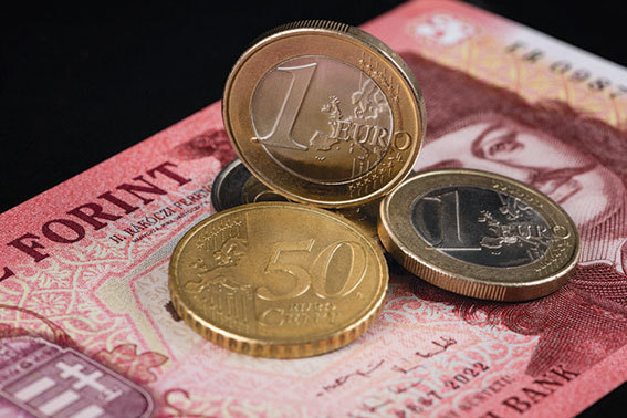 Ungaria, vedeta est-europeană: Schimbarea de regim, speranțe pentru fonduri UE