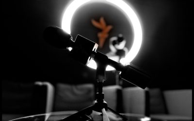 Restul e istorie: 52.341 de motive să citești Arhiva Europa Liberă România