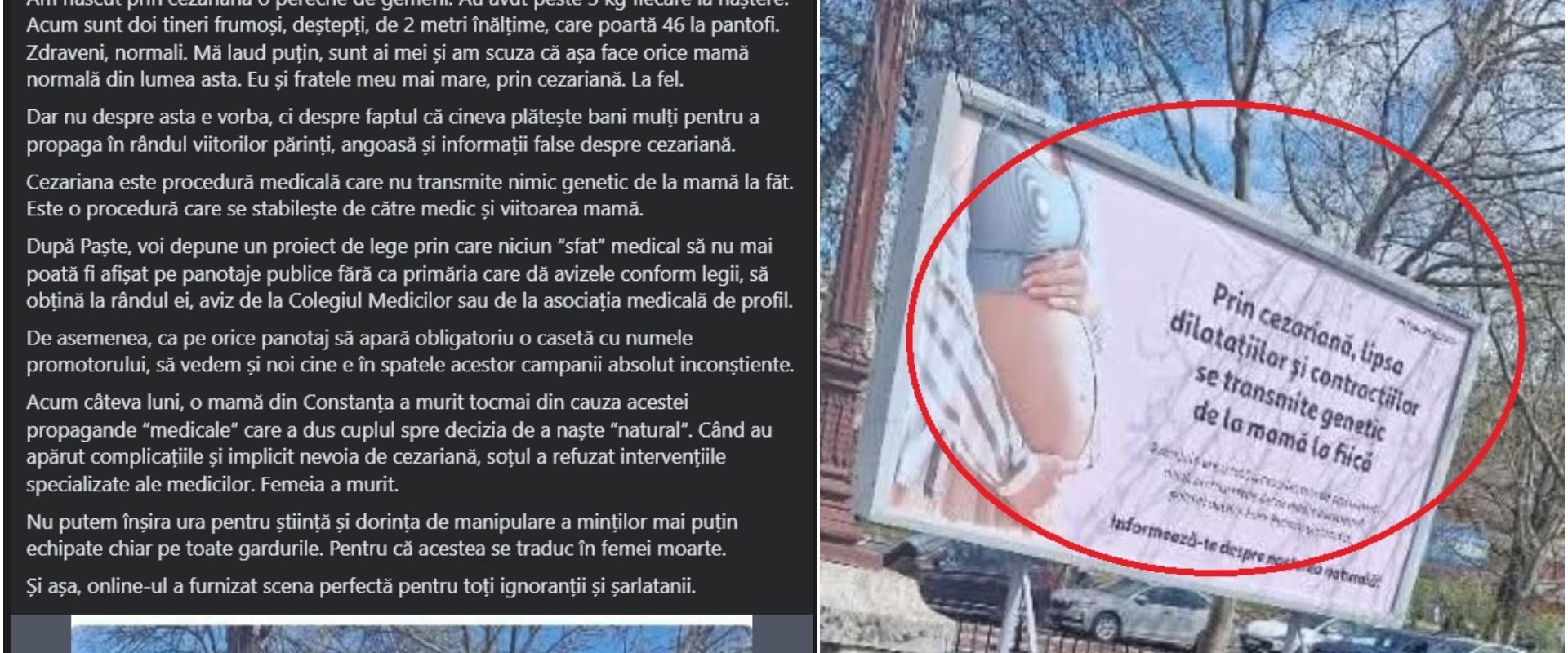 O deputată USR, ofensată de o reclamă, vrea lege nouă: „Cine-i în spatele ei”
