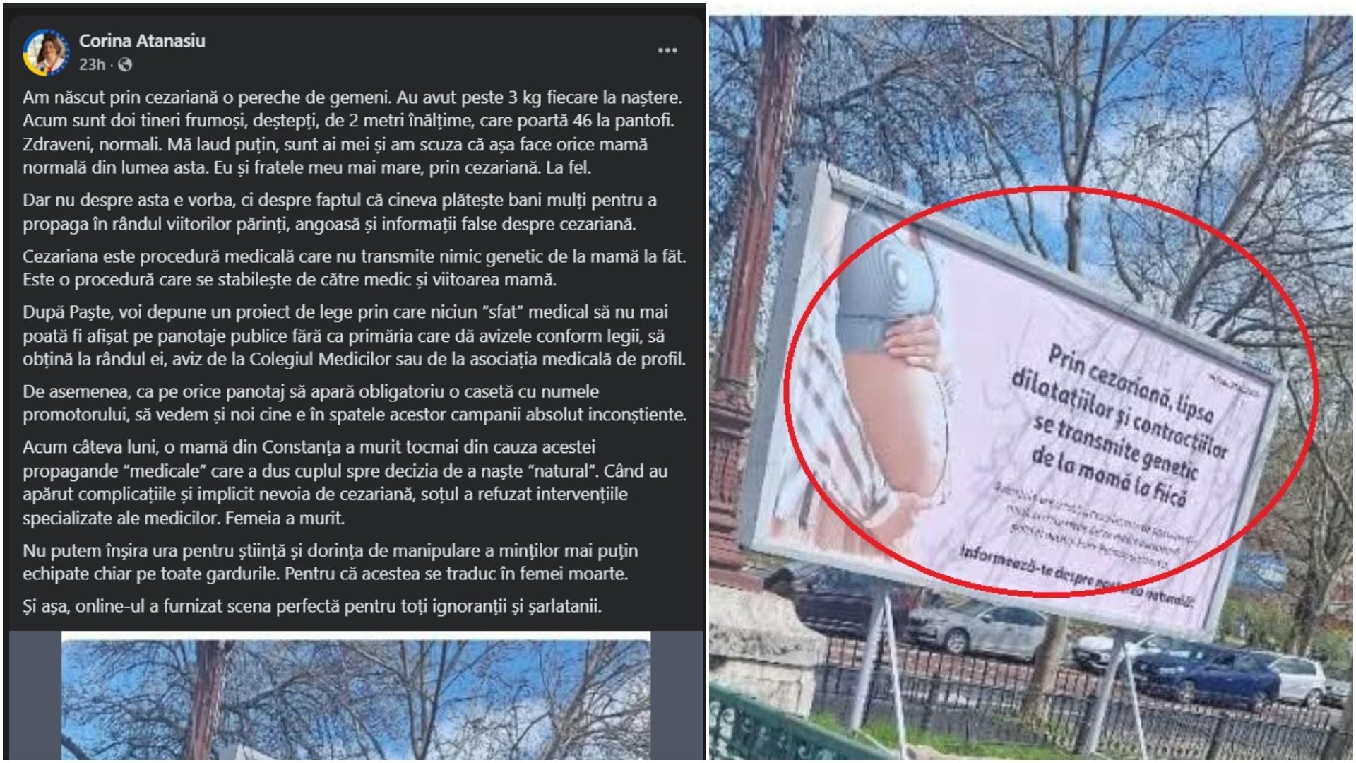 O deputată USR, ofensată de o reclamă, vrea lege nouă: „Cine-i în spatele ei”