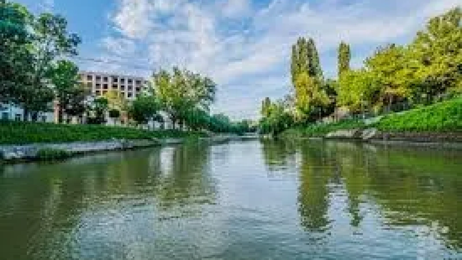 Bega, un teren comun pentru artă și cercetare: Orașul și natura