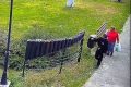 Primarul din Găești, sesizare la Poliție: Doi hoați, prinși la furat flori din parc!