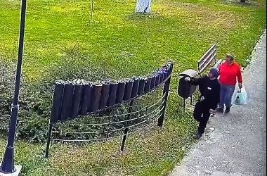 Primarul din Găești, sesizare la Poliție: Doi hoați, prinși la furat flori din parc!