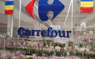 Mall-urile bucureștene, pustii de paște: Un singur centru comercial deschis