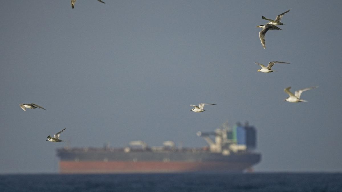 Blocada navală în Strâmtoarea Ormuz: Cum ar opri vasele de petrol?