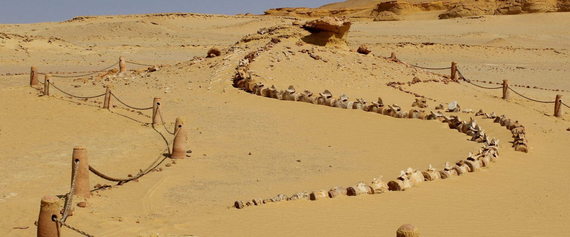 Eveniment antic, acum 4.200 de ani, prăbușește Vechiul Regat Egiptean