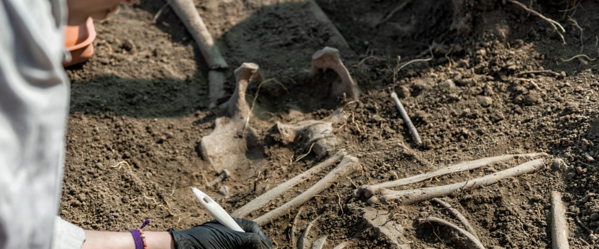 Peisaj antic: Oameni de acum 100.000 de ani, dezvăluiți de istorie