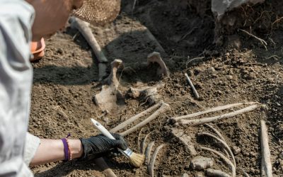 Peisaj antic: Oameni de acum 100.000 de ani, dezvăluiți de istorie