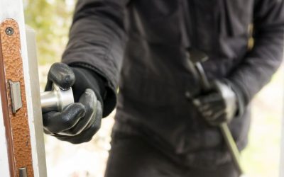 Cele mai bizare 6 furturi din istorie: De la părul lui Donald Trump la