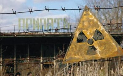 Nouă formă de viață, descoperită la Cernobîl. Ce dezvăluiri, la 40 de ani