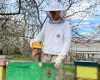 Albine din bursă și premiu internațional: Un tânăr uimește România