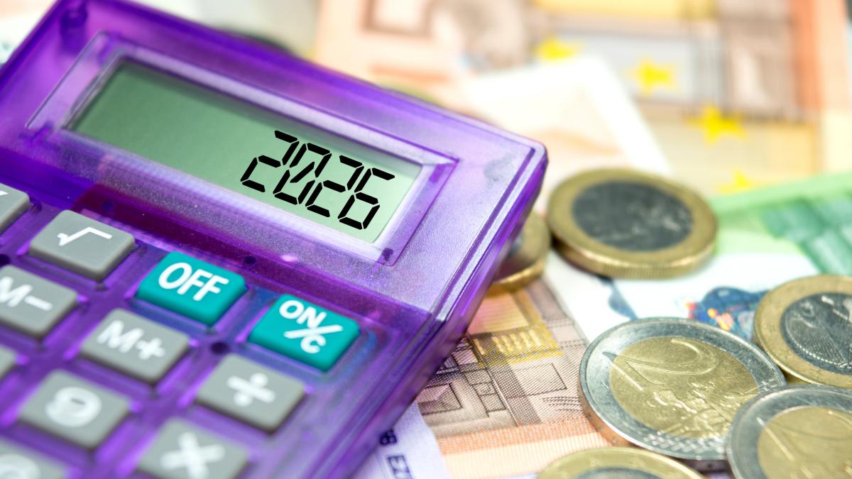 Criza Politică Zdruncină Economia: Păun Prezice Leu la 7-8 Lei