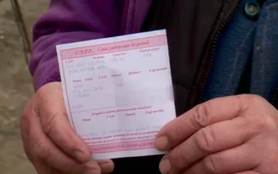 Cerere de recalculare a pensiei: Cum își apără drepturile pensionarii în România