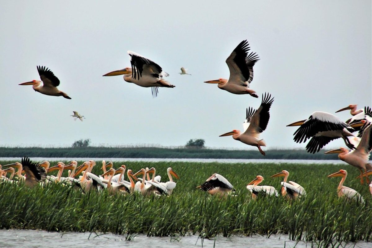 Situația României, „la marginea dezastrului”: Ce spun experții?