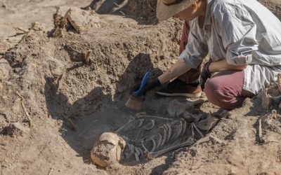 Amud 7, bebelușul Neanderthal: Creștea mai repede decât oamenii moderni!