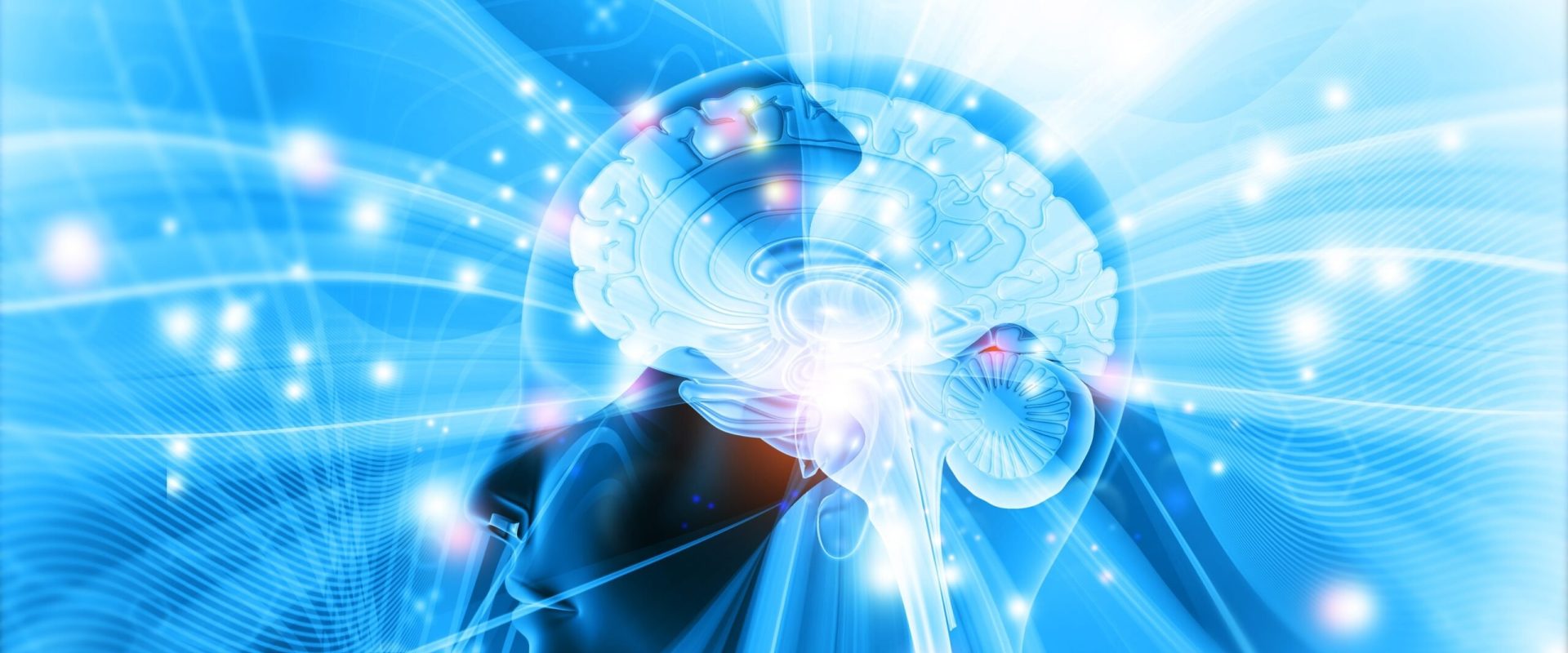 Creierul uman continuă să uimească comunitatea științifică, cercetările din 2025 aducând descoperiri remarcabile despre complexitatea și adaptabilitatea acestui organ vital