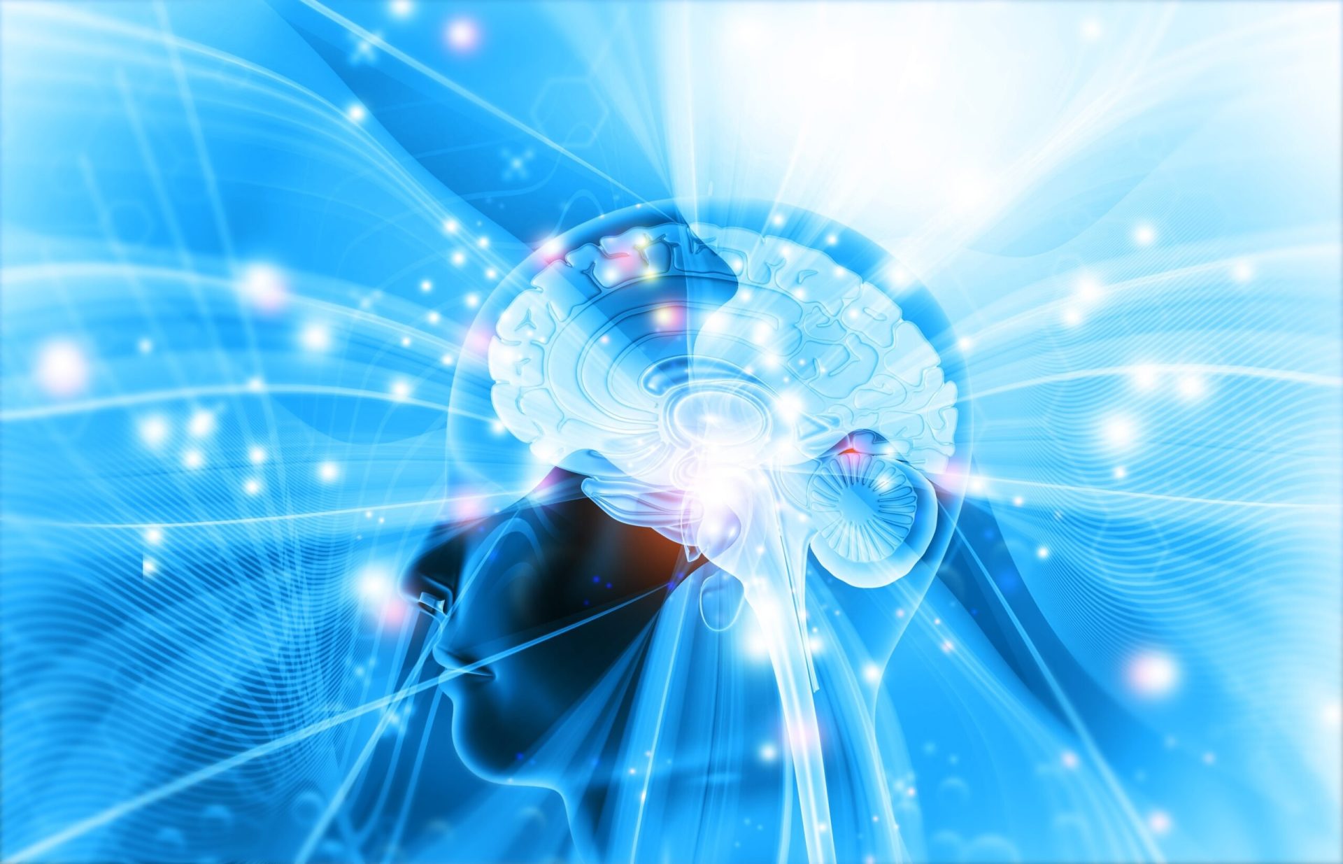 Creierul uman continuă să uimească comunitatea științifică, cercetările din 2025 aducând descoperiri remarcabile despre complexitatea și adaptabilitatea acestui organ vital