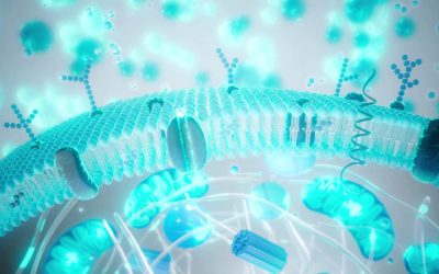 Balonare și greață după Paște? Ghid Rapid pentru digestia optimă