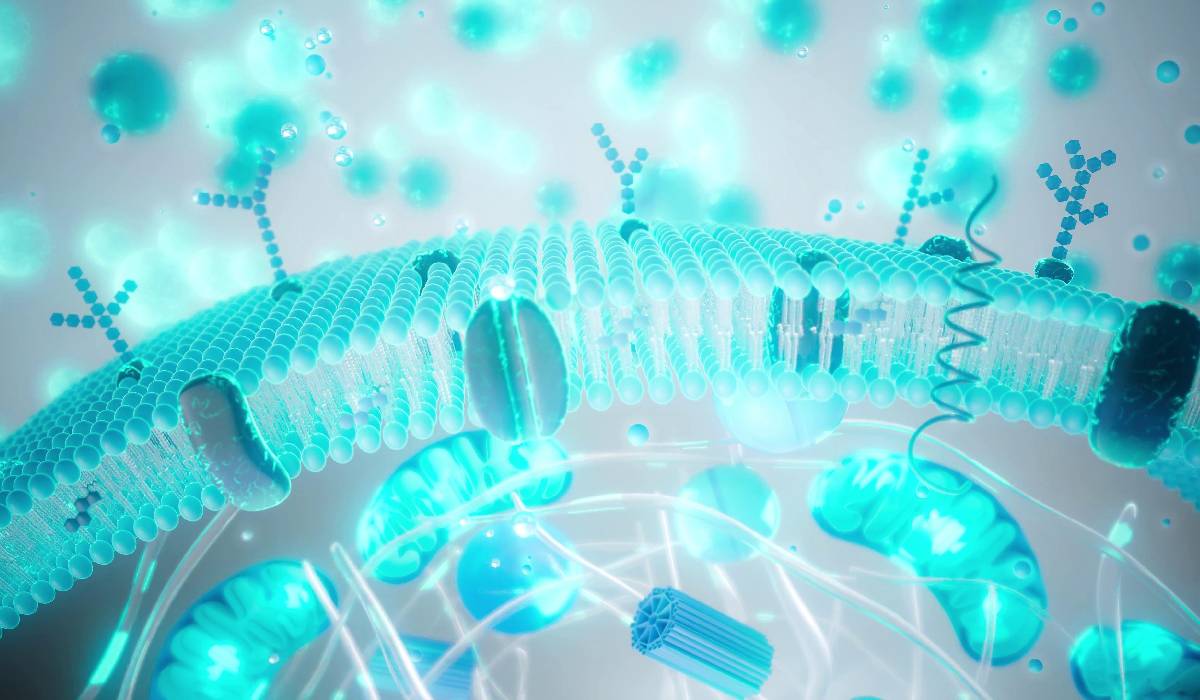 Balonare și greață după Paște? Ghid Rapid pentru digestia optimă