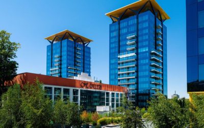 Branduri românești în imobiliare: De la cărămidă la experiență. Cum vând dezvoltatorii din România o promisiune