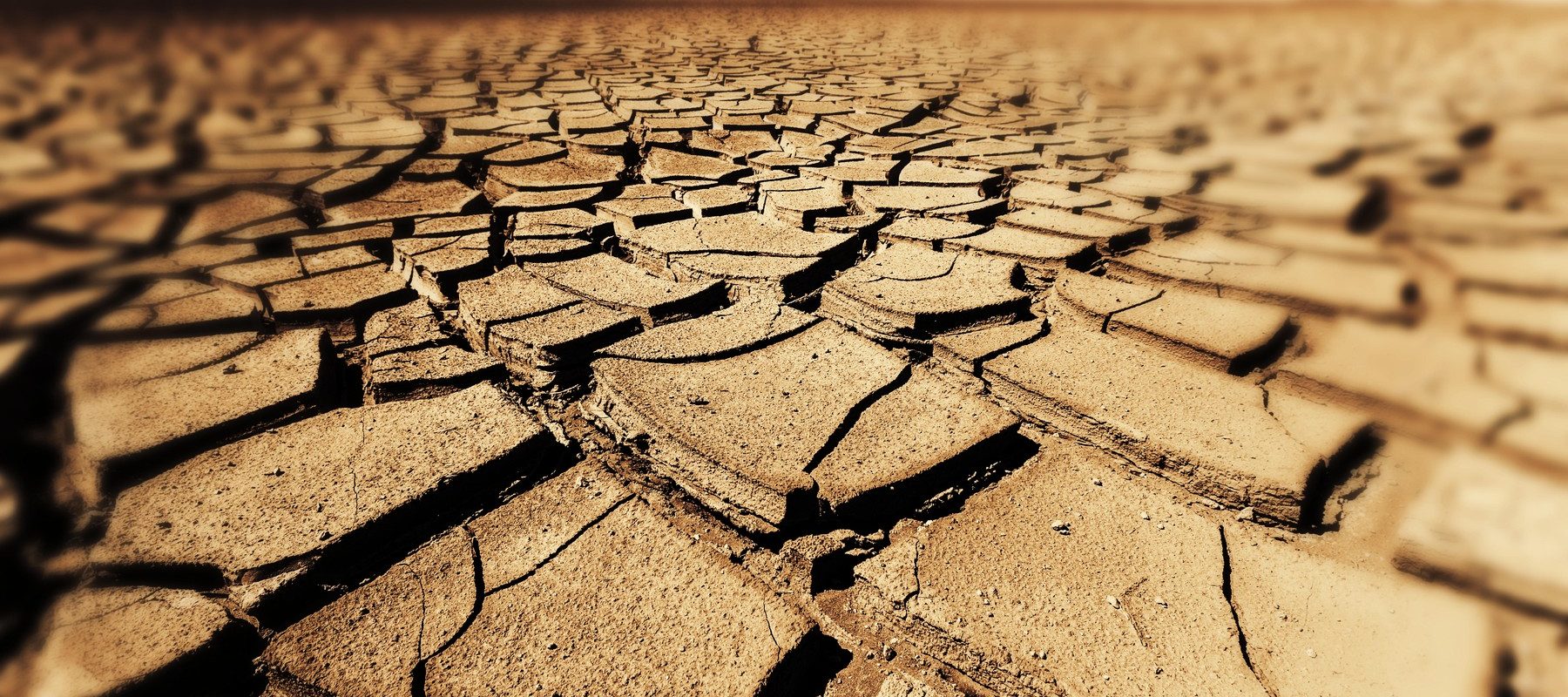 Seceta, coșmarul lumii: Bacterii ucigașe, mai puternice, se apropie