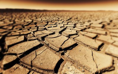 Seceta, coșmarul lumii: Bacterii ucigașe, mai puternice, se apropie