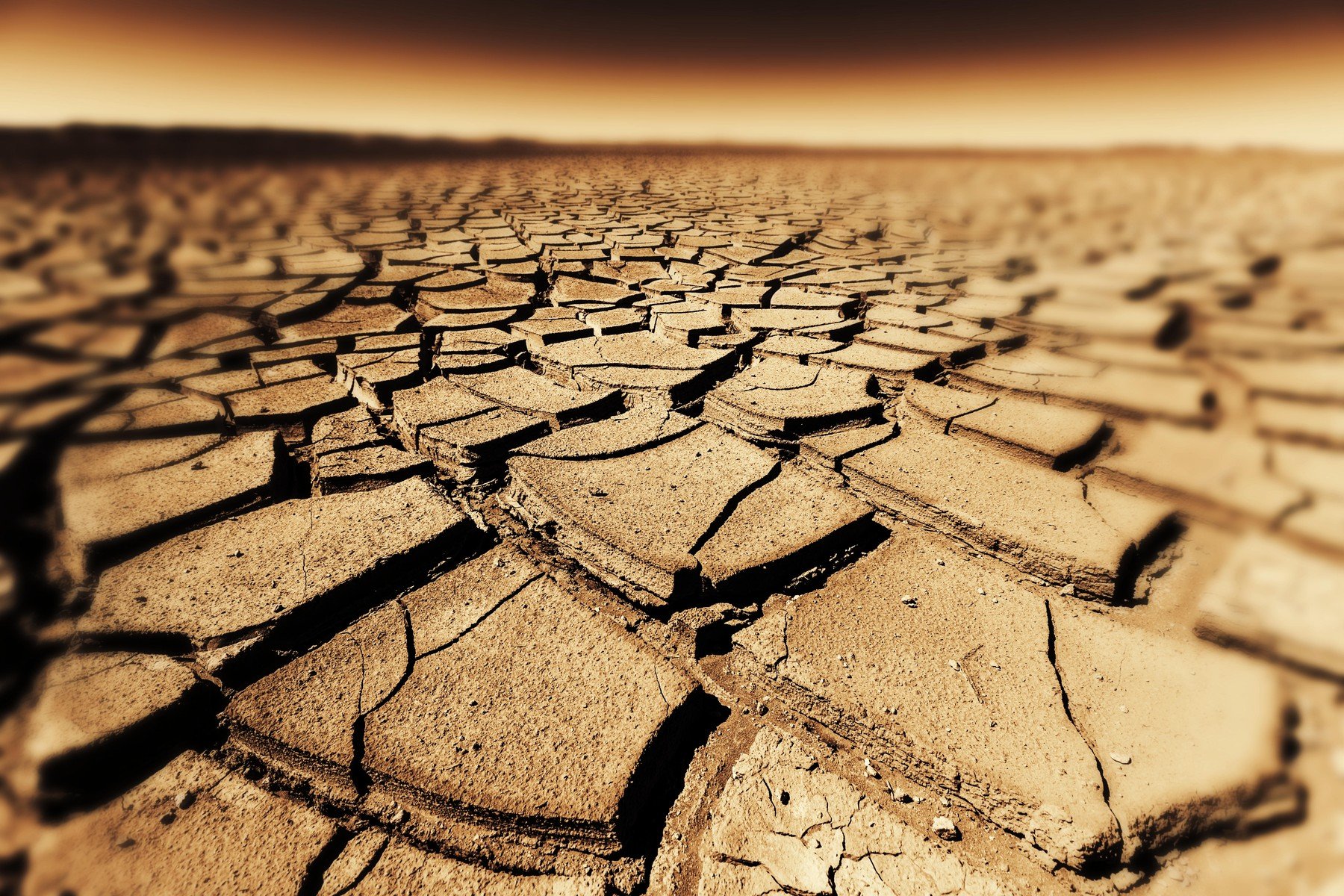 Seceta severă, o amenințare la adresa sănătății publice: riscul crescut de bacterii rezistente la antibiotice Un nou studiu atrage atenția asupra unei legături îngrijorătoare: seceta, fenomen cu care țara noastră se confruntă tot mai des, ar putea accelera răspândirea bacteriilor rezistente la antibiotice